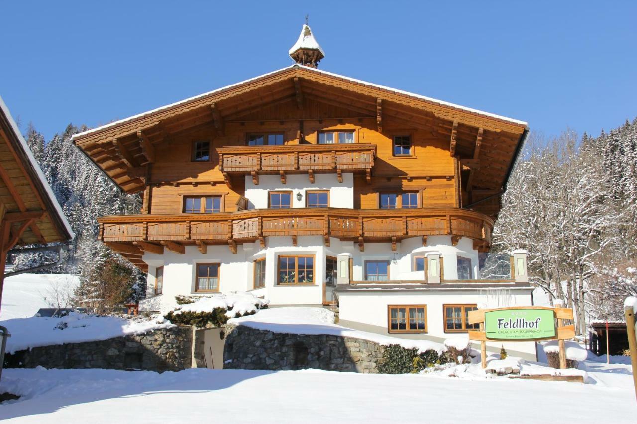 Feldlhof Villa Schladming Dış mekan fotoğraf